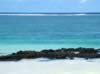 Mauritius04_nature_0002.jpg (308kb)